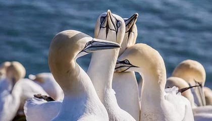 爱游戏在线登录入口-特色比赛：快速反应挑战赛热血开启，快速反应队伍