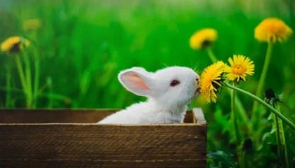 爱游戏在线登录入口-特色比赛：快速反应挑战赛热血开启，快速反应队伍